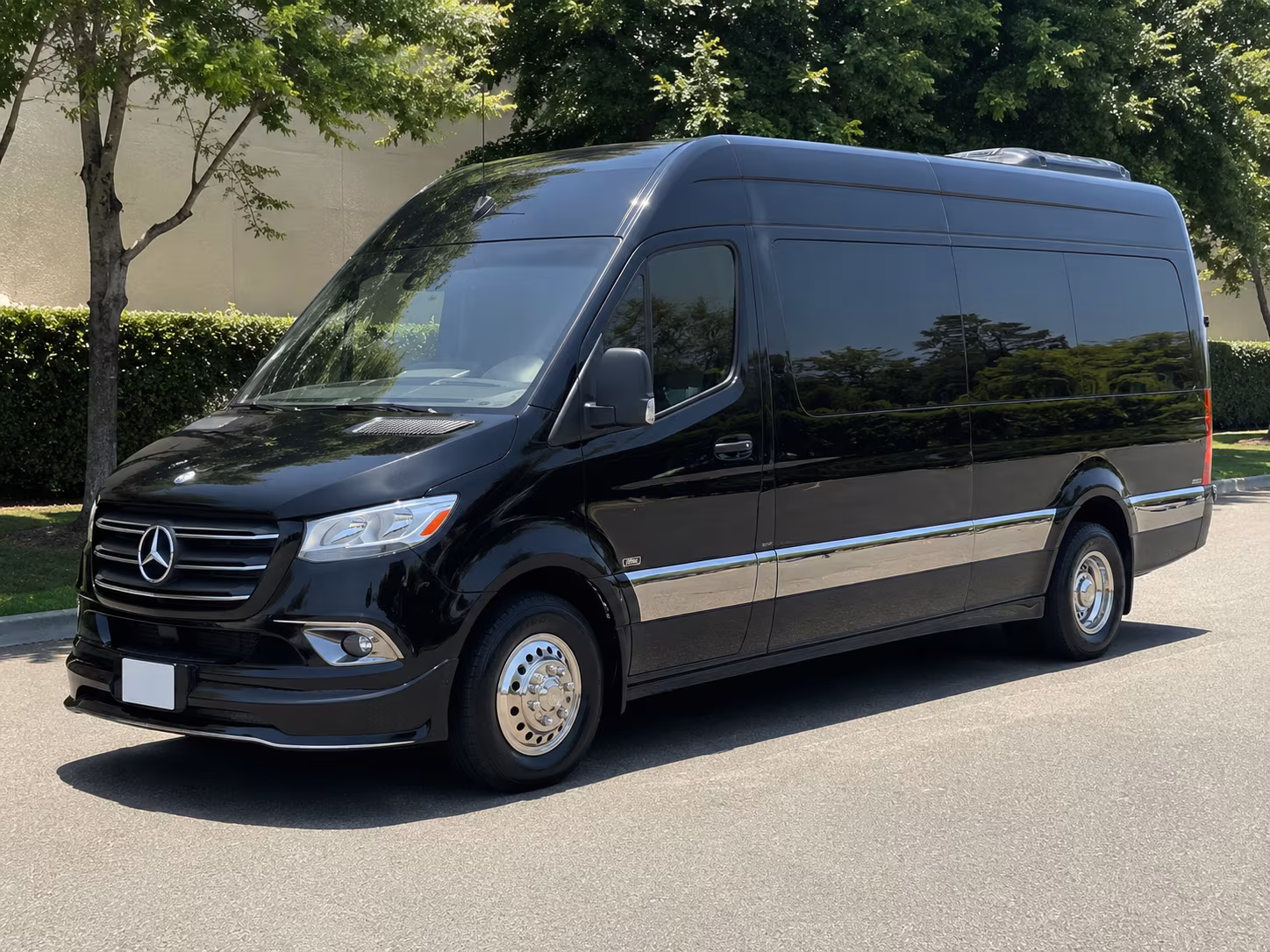 birmingham 10 passenger sprinter van